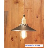 ジャーナルスタンダードファニチャー PANAMA PENDANT LAMP（パナマ ペンダントランプ） 幅220×奥行220×高さ170mm 1台（直送品）