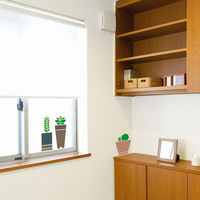 東京ステッカー ウォールステッカー 転写 植物 人気【多肉植物ー2/GR/SS】 TSー0024ーASSー2 （直送品）