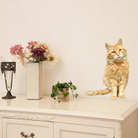 東京ステッカー かわいい 猫 写真 岩合光昭「ねこウォールステッカー04」SS TSー0084ーASS （直送品）