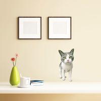 マッチングジャパン かわいい 猫 写真 岩合光昭「ねこウォールステッカー05」SS TS-0085-ASS 1枚