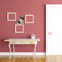 東京ステッカー かわいい 猫 写真 岩合光昭「ねこウォールステッカー06」SS TSー0086ーASS （直送品）