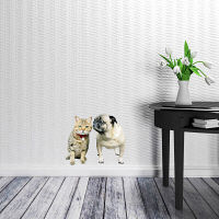 東京ステッカー かわいい 猫 写真 岩合光昭「ねこウォールステッカー09」SS TSー0089ーASS （直送品）