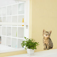 東京ステッカー かわいい 猫 写真 岩合光昭「ねこウォールステッカー10」SS TSー0090ーASS （直送品）