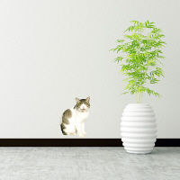 東京ステッカー かわいい 猫 写真 岩合光昭「ねこウォールステッカー11」SS TSー0091ーASS （直送品）