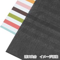 シモジマ 薄葉紙 半才 ブラックN 002102567 1セット（10枚入×160）（直送品）