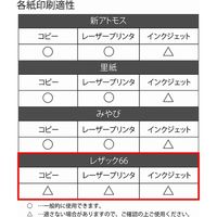 シモジマ カットペーパー レザック66 A4 ウスミドリ 002134723 1セット(1束(20枚)×10)