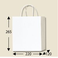 シモジマ PBスムースバッグ Mー1 白 003136201 1セット(10枚×5束)