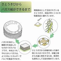 【ケース販売】HEIKO 紙皿 徳用バガスプレート GP-21 004466082 1セット(50枚入×16袋 合計800枚)（直送品）