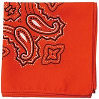 ゴートレイド バンダナ ペイズリー オレンジ 004775025 1束（20枚入）×20（直送品）