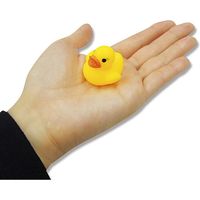 キッシーズ KISNS62105 すくって!アヒルちゃん小 005974945 1セット(100個入×20個)（直送品）