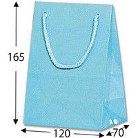 シモジマ ブライトバッグ T-4 アサギ 006143209 1セット（10枚入×5）（直送品）