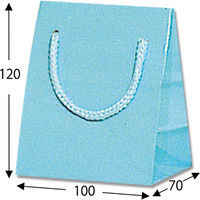 シモジマ ブライトバッグ T-5 アサギ 006143309 1セット（10枚入×5）（直送品）