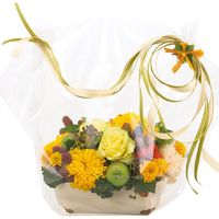 シモジマ OPPロール #40 500mmX500m巻 006777350 1本