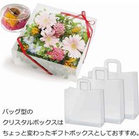 シモジマ ニュークリスタルBOX BAG M 006834851 1セット（10枚入×10）（直送品）