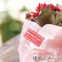 シモジマ 特殊強粘ギフトシール ユニバーサル チェリー 007067817 1セット(10束)（直送品）