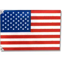 川正染工 051001002 万国旗アメリカ 007271333 1セット(10枚)（直送品）