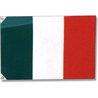 川正染工 051004002 万国旗イタリア 007271336 1セット(10枚)（直送品）