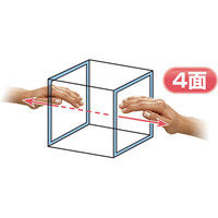 DP-15-11 サイコロ型ディスプレイ 007305954 1パック（1個入） 共栄プラスチック（直送品）