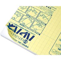 プラチナ万年筆 AB4-360 ハレパネ B4判 007326652 1セット(60枚)（直送品）