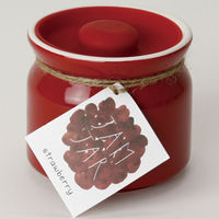 シリコンリッドジャー 250 RE SJ-101 1セット（4個入） 藤栄（直送品）