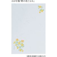 あかしや はがき箋「野の花ごよみ」 AO-04L 1セット(5セット)（直送品）