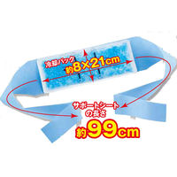 タカビシ化学 ひんやりタイム S3873-05 1個