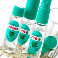 ハッカ油スプレー 詰め替えボトル 12ml×2本 北見ハッカ通商