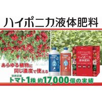 協和 ハイポニカ液体肥料500mlセット 040001 （A・B液2本セット）