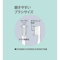 パナソニック 替えブラシ ポケットドルツ やわらかめタイプ 2本入 白 EW0958-W 1個