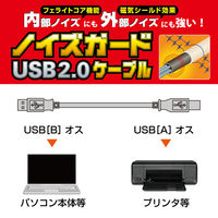 エレコム フェライトコア内蔵USB2.0対応ケーブル(ABタイプ) USB2-FS3 1個