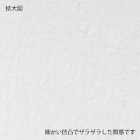 ムトウユニパック kotonoha DL+タテ TA ホワイト（120） 54660007 1箱（50枚入）（直送品）