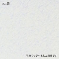 ムトウユニパック kotonoha A6カード PD アイボリー 58030111 1箱（50枚入）（直送品）
