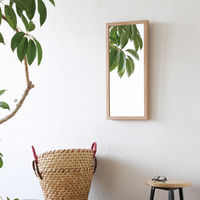 永井興産 軽量ウォールミラーKarui 幅280×奥行35×高さ600mm ナチュラル NK-215 NA 1セット（4台入）（直送品）