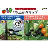 第一ビニール くき止めクリップ10個入 Φ16-20mm 4968438006093 10個（直送品）