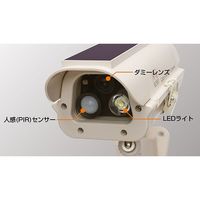 キャロットシステムズ ソーラー式LEDダミーカメラ SLD-110（直送品）