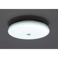 アイリスオーヤマ 小型シーリングライト 薄形 2000lm 人感センサー付 昼光色 SCL20DMS-UU 1台