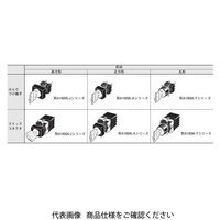 オムロン キー形セレクタスイッチ 分離形(丸胴形φ16) はんだづけ端子タイプ 正方形 A165KーA2Mー1 1セット(2個)（直送品）