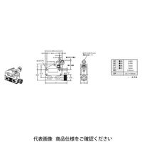 オムロン 小形封入スイッチ D4Eー1G21N 1セット(2個)（直送品）