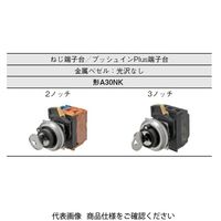 オムロン 3ノッチ キー形セレクタスイッチ A30NKー3MMー01BAーP222 1セット(2個)（直送品）