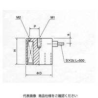 フジタ 丸型電磁石 FSGP型 FSGPー80 1個（直送品）