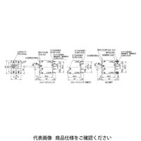 IDEC NH1S形サーキットプロテクタ NH1Sー2100ー3BA 1個（直送品）