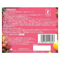 ファイブミニ 1セット（1本（100ml×30） 食物繊維飲料 特定保健用食品 トクホ 特保 大塚製薬