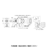 IDEC NRLシリーズサーキットプロテクタ NRLT1100ー2ABA 1セット(2個)（直送品）