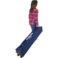 パール金属 キャプテンスタッグ クイックシェードDX 250UV-S キャスターバッグ付 M-3272