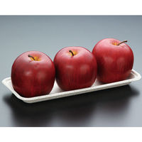 パックスタイル WB 麦バガストレー24-10 604003 1包：1000枚（50×20）（直送品）