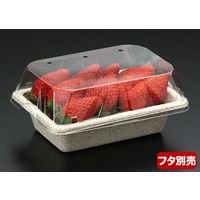 パックスタイル WB 麦バガストレー16-11 604004 1包：1000枚（50×20）（直送品）
