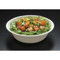 パックスタイル BBどんぶり 205φx60H 605994 1セット(500枚:50枚×10袋)