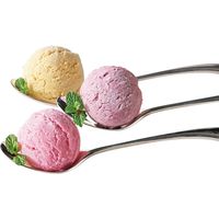 銀座千疋屋 銀座プレミアムアイス10個 PGS-036（直送品）