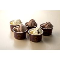 銀座千疋屋 銀座ショコラアイス PGS-274（直送品）