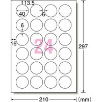 エーワン（A-one）ラベルシール キレイにはがせる 表示・宛名ラベル プリンタ兼用 封筒 シール  A4 24面 10シート 31295
